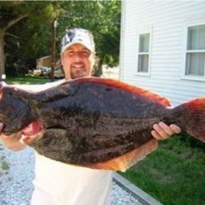 Meet your Posher, William c